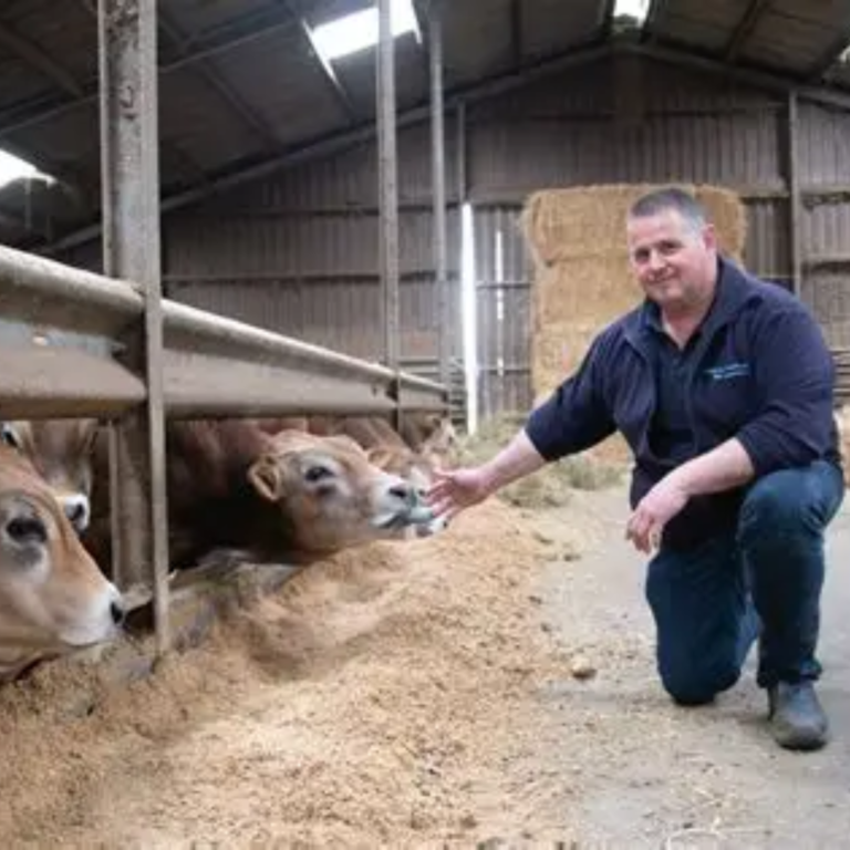Enjoy de Zomer: rondleiding Boerderij Het Binnenveld